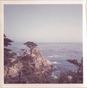 The rocky view of the Pacific
